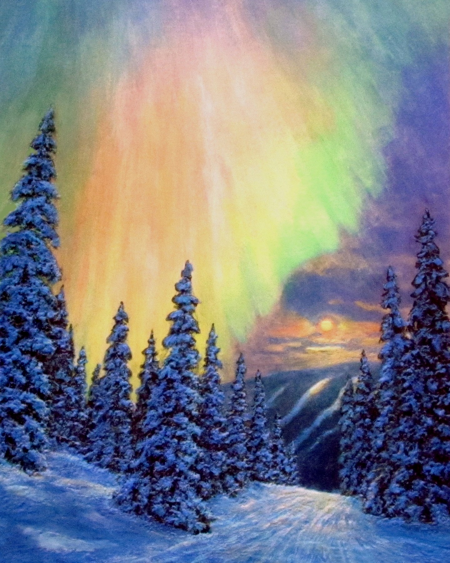 Aurora Night, photographed in daylight